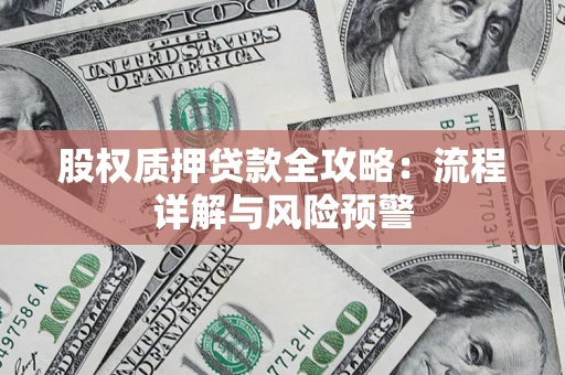 武汉股权质押贷款全攻略：流程详解与风险预警