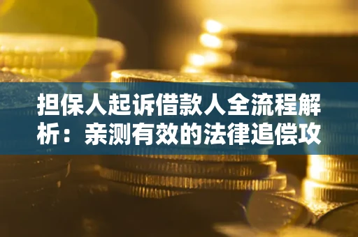 武汉担保人起诉借款人全流程解析：亲测有效的法律追偿攻略