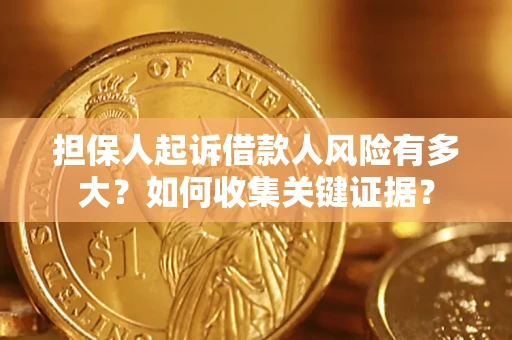 武汉担保人起诉借款人风险有多大？如何收集关键证据？