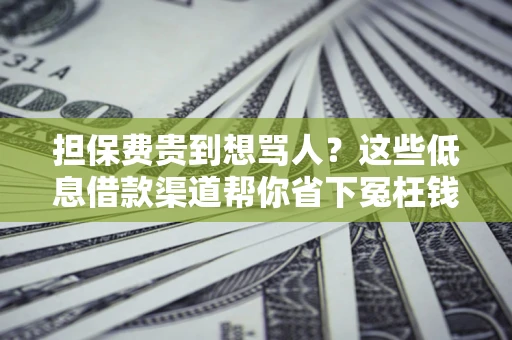 武汉担保费贵到想骂人？这些低息借款渠道帮你省下冤枉钱
