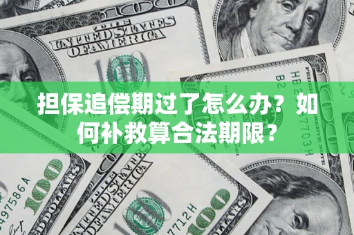 武汉担保追偿期过了怎么办？如何补救算合法期限？