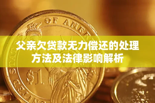 武汉父亲欠贷款无力偿还的处理方法及法律影响解析