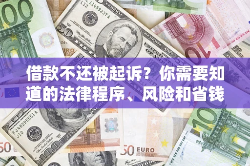 武汉借款不还被起诉？你需要知道的法律程序、风险和省钱技巧