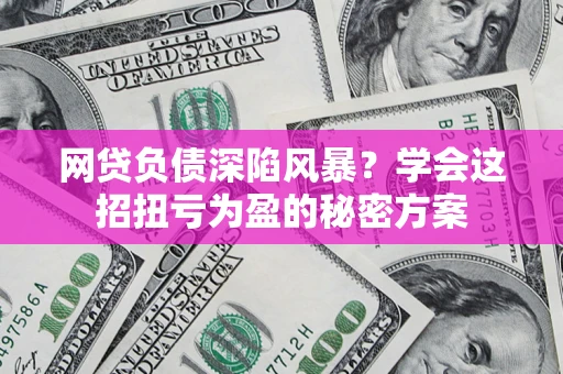 武汉网贷负债深陷风暴？学会这招扭亏为盈的秘密方案
